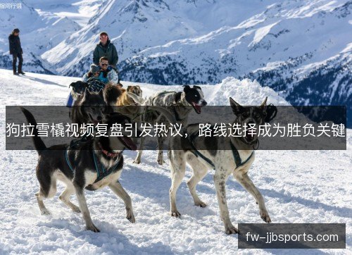 狗拉雪橇视频复盘引发热议,路线选择成为胜负关键 狗拉雪橇视频复盘引发热议,路线选择成为胜负关键